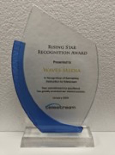 Rising Star Recognition Award trophy